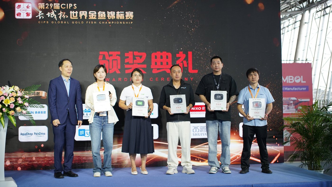 长城杯颁奖典礼